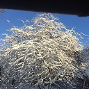 ���� ��������, ������, 67 ��� - ��������� 6 ��� 2022 � ������ ���� ����������