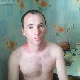 ���� ������, ������������, 41 ��� - ��������� 8 ������ 2022