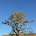 ���� ����, ������, 62 ���� - ��������� 4 ������� 2022 � ������ ������, ���� ������