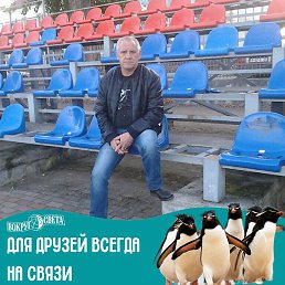 ���������, �����������, 61 ���