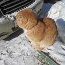 ���� ����, ����, 62 ���� - ��������� 15 ������ 2023