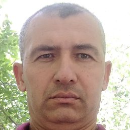 Olim, �������, 41 ���