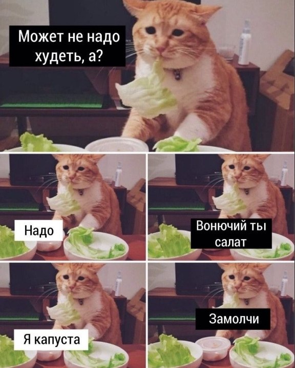    ))