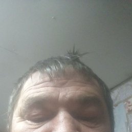 , 51 , 