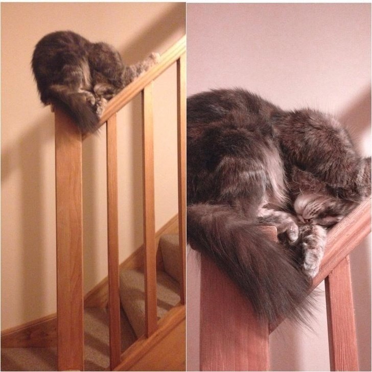  ,        ,   )))