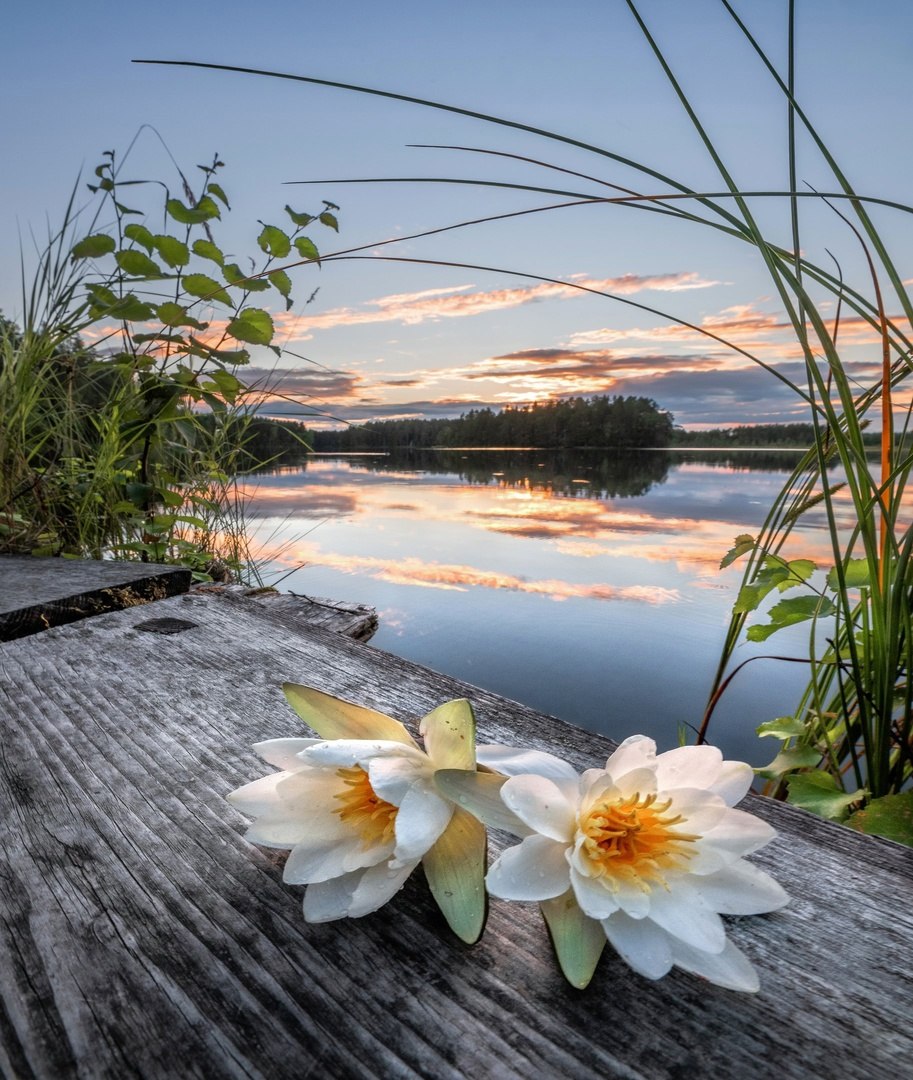  . Asko Kuittinen
