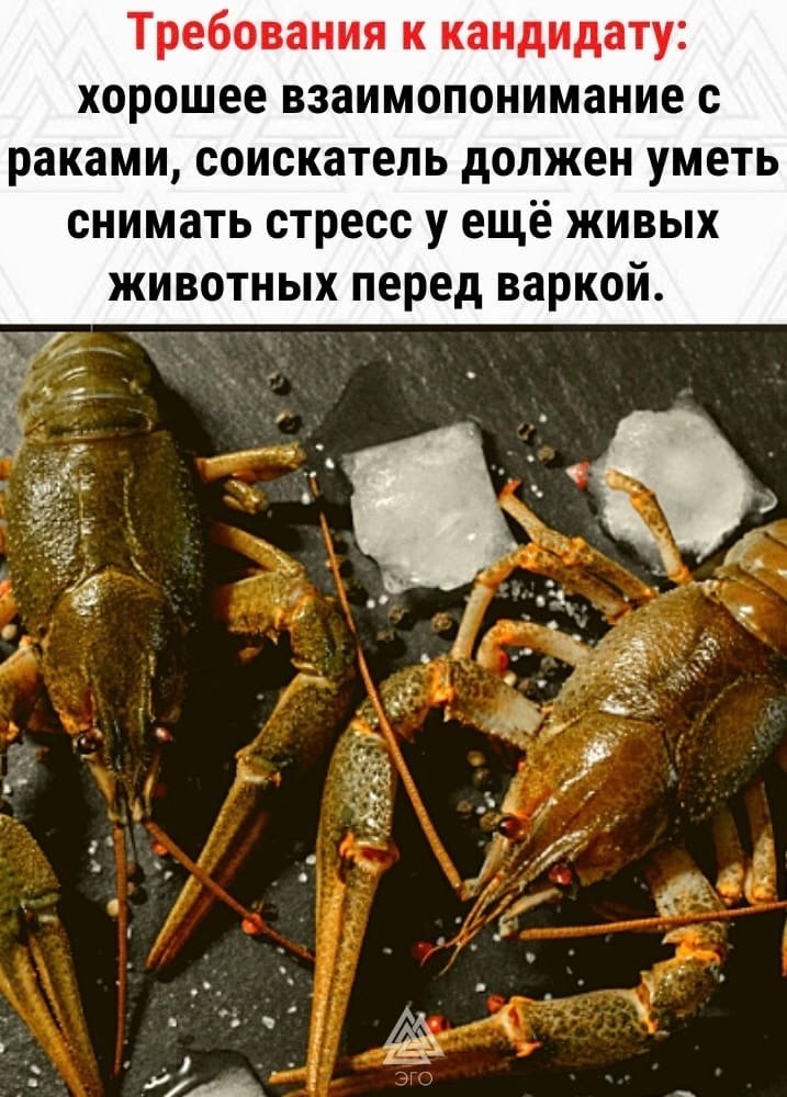        - 2