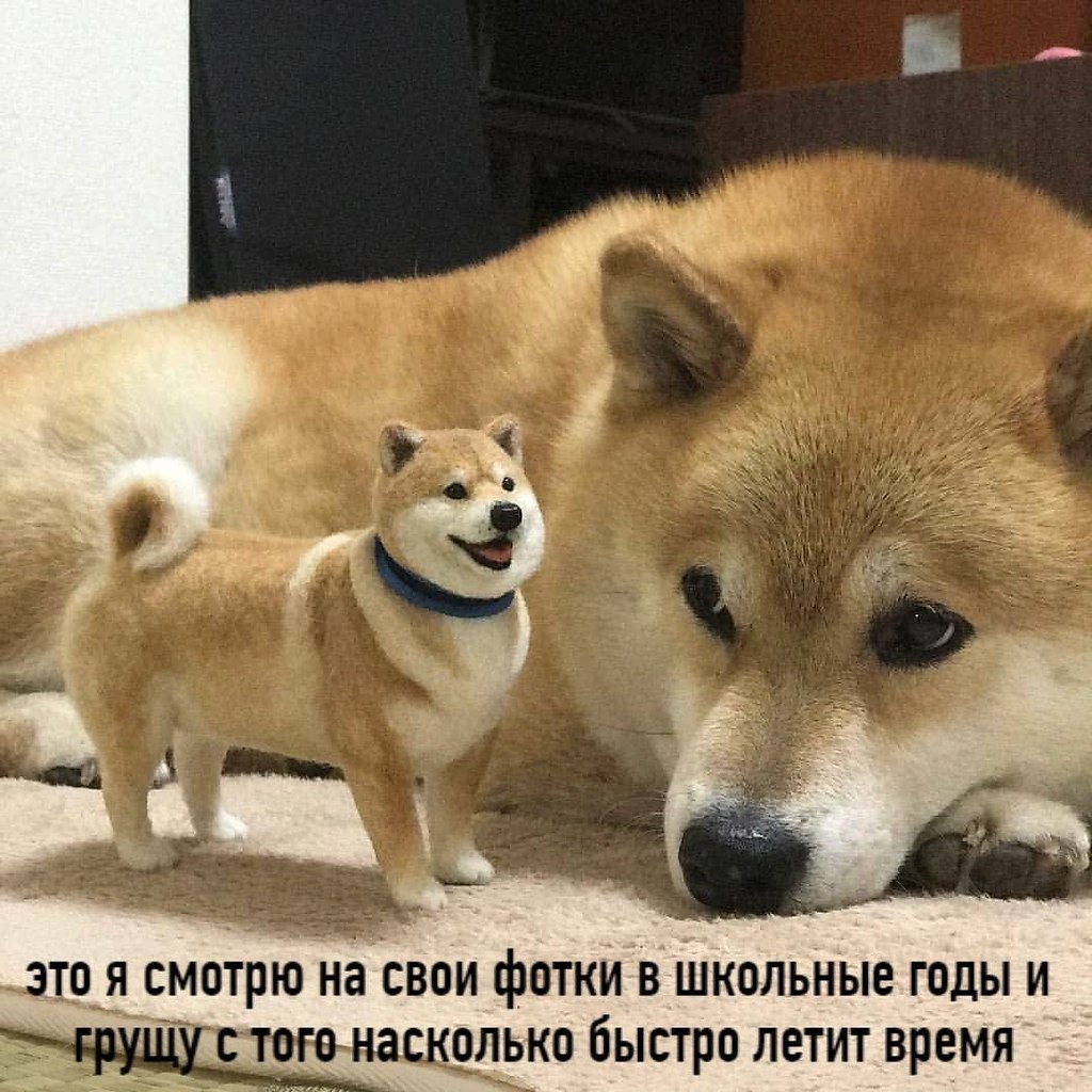 ��� �������� �������� - 25 ������� 2022 � 13:12