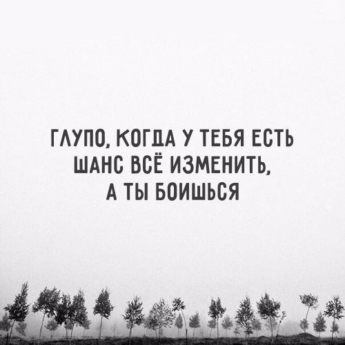  ,  .© - 16  2022  23:11