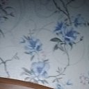 ���� ���������, ������, 58 ��� - ��������� 8 ������� 2023 � ������ ���� ����������