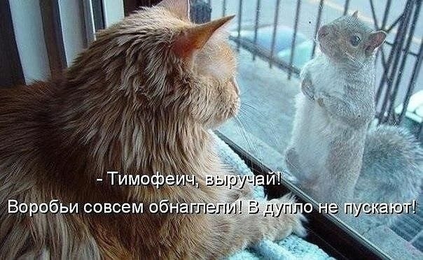    - 10  2022  21:59