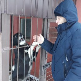 ��������, ������, 63 ����