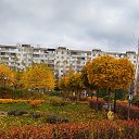  , , 63  -  10  2022    