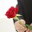  Flog Love, , 33  -  21  2022