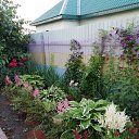 ���� �������, �������, 65 ��� - ��������� 7 ������� 2022 � ������ ���� ����������