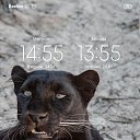 ���� ������, ������, 36 ��� - ��������� 3 ������� 2023 � ������ ���� ����������