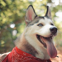 ������, ������, 27 ���