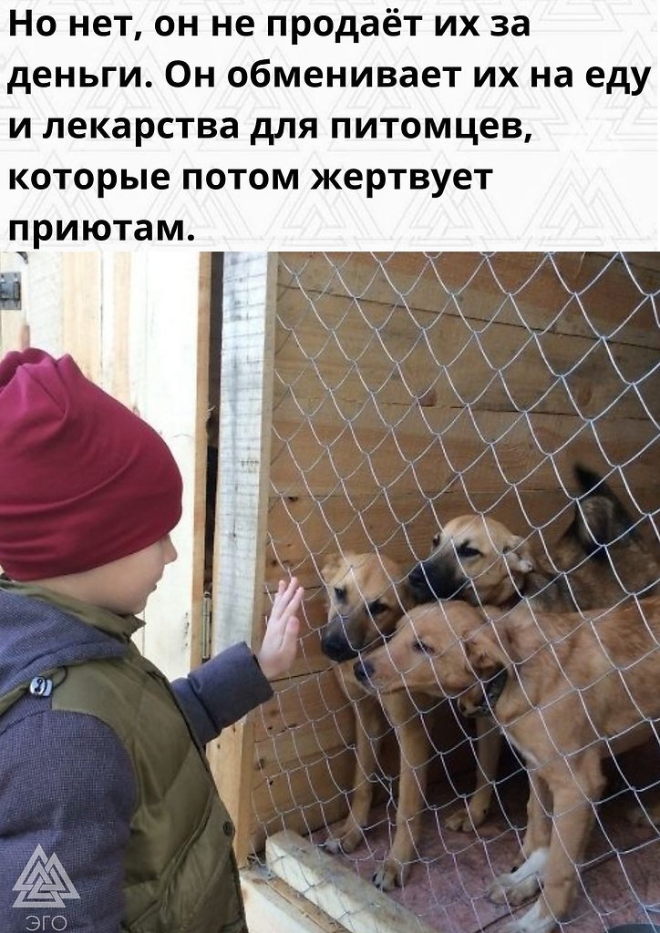      - 3