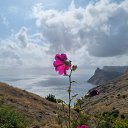 ���� ����, �����-���������, 50 ��� - ��������� 12 ������� 2022 � ������ ������ ��������