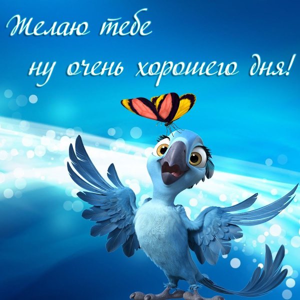   - 14  2022  11:44