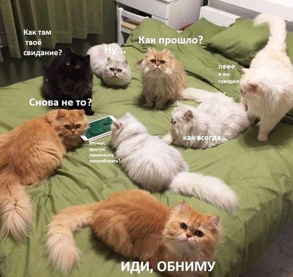    - 7  2022  02:33