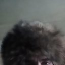 ���� �����, ������������, 43 ���� - ��������� 17 ������� 2023 � ������ ���� ����������