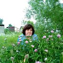 ���� *Sahalinka, ������ - ��������� 24 ������� 2022 � ������ ���� ����������
