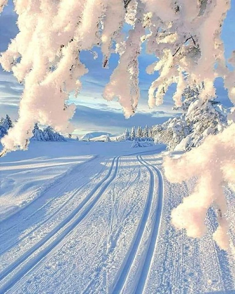   - 18  2022  20:41