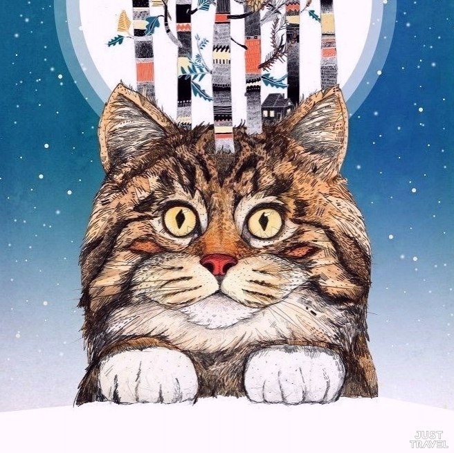 o Sandra Dieckmann.#art #travel #world - 10