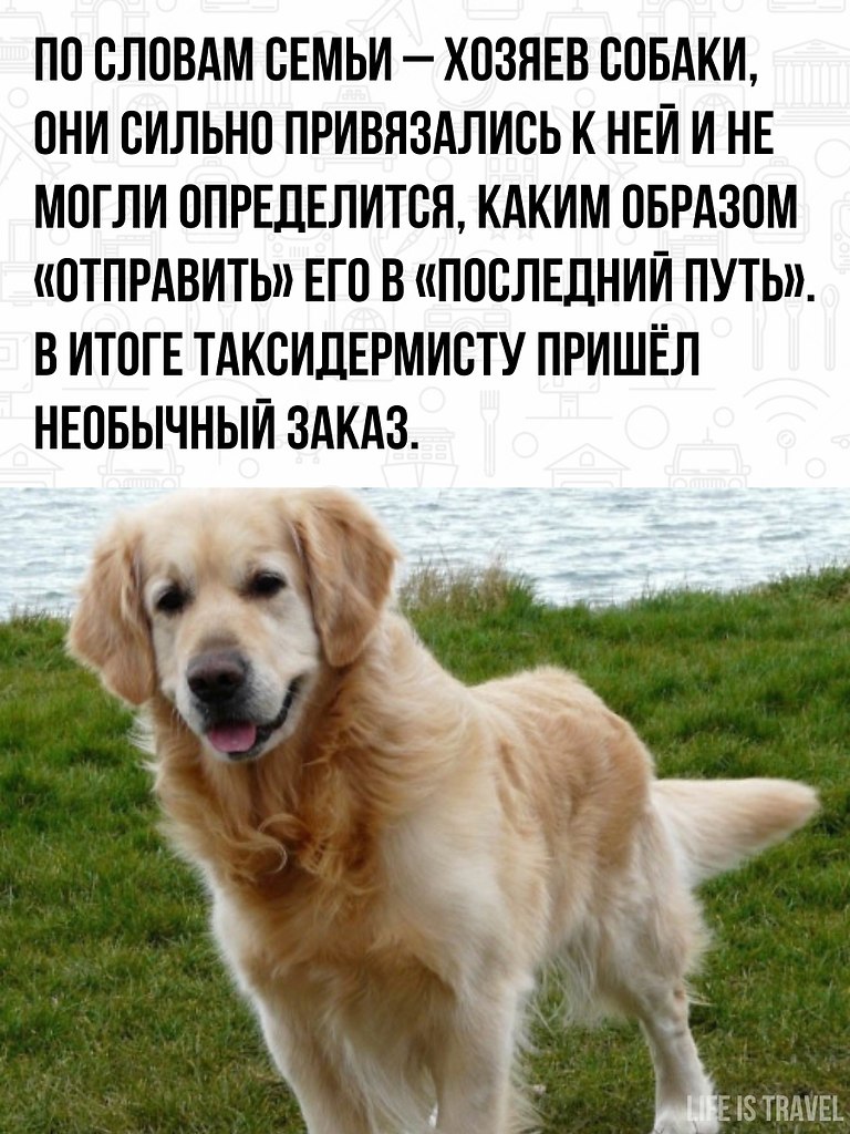        . - 3