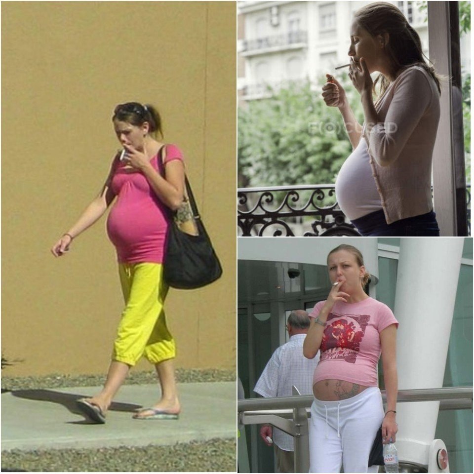    ?      ?
