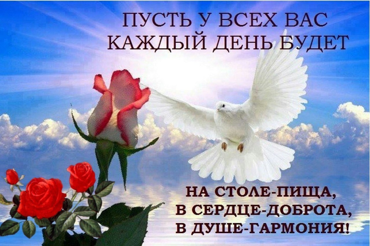   ,    . - 22  2022  10:49