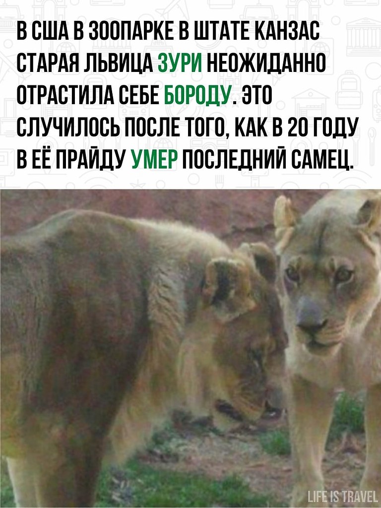         ,      . - 2