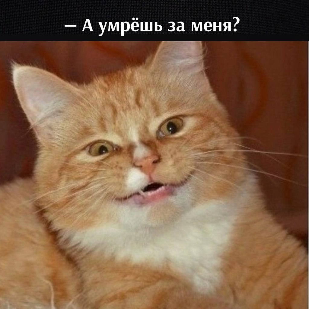       - 1  2023  11:24 - 3