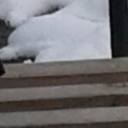 ����, �����������, 74 ����