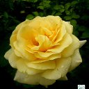 ���� ����, �����-��������� - ��������� 3 ������� 2022 � ������ ������ ��������