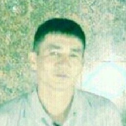 ������, �������, 44 ����