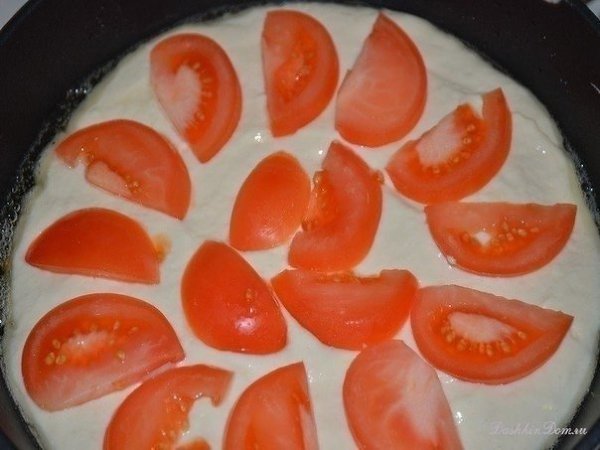 Пицца