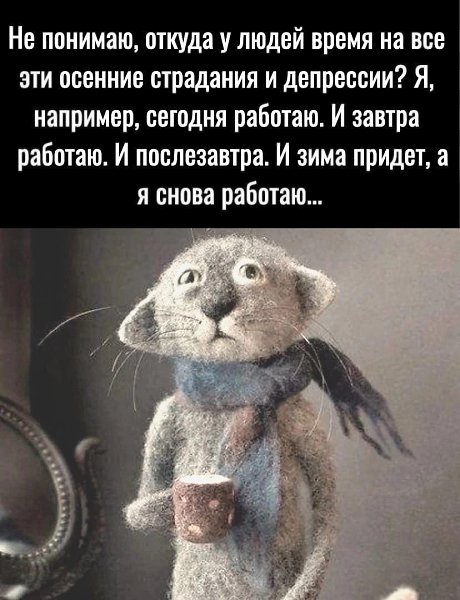 ***Victoria Viktorovna*** - 21  2022  16:49