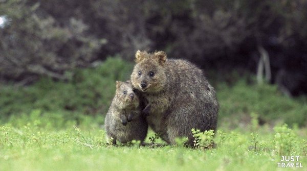 a�� � �� �e��� �� ��pa ���o����. a�ep��c�a� ���o�� � ���o��o� ��pe. #art #travel #world - 5
