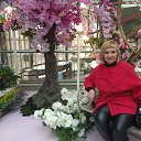 ���� ����, ��������, 48 ��� - ��������� 1 ������� 2022