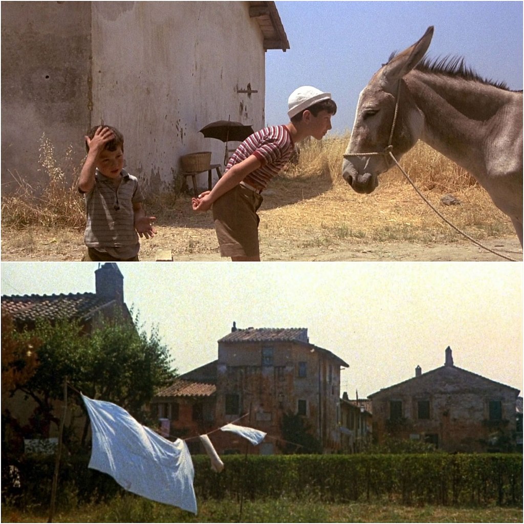  / Amarcord (1973).:  :   - 4