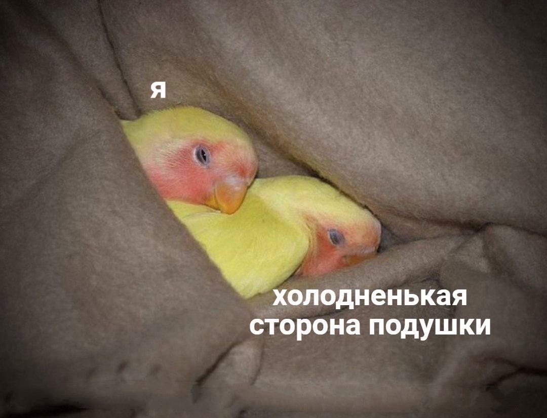    - 24  2022  04:42