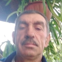 , , 54 
