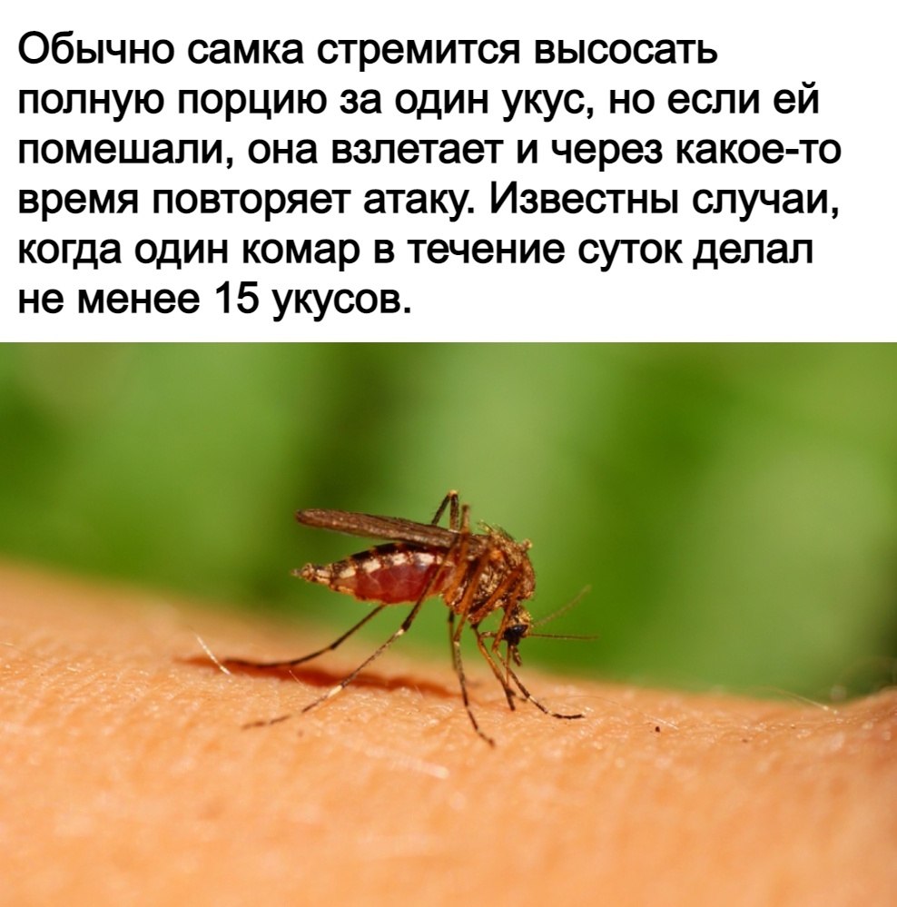         ? - 2