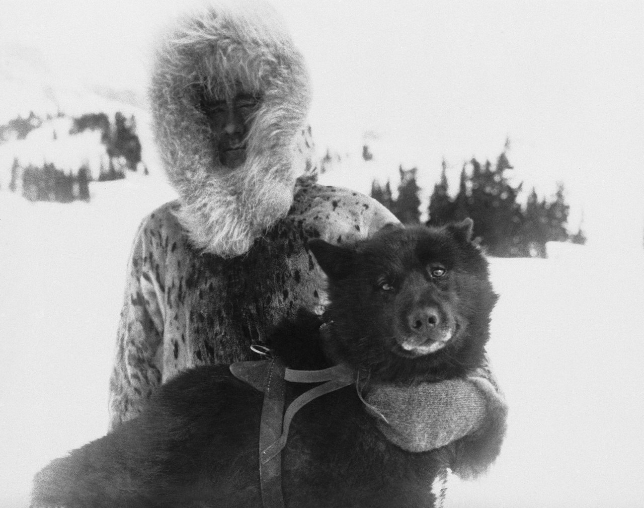 Балто. Как один пёс спас целый город.Эта фотография была сделана в далеком 1925 году. На ней ...