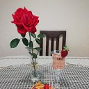 ���� �������, �������, 65 ��� - ��������� 12 ������� 2022 � ������ ���� ����������