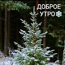 ���� ���������, ������, 44 ���� - ��������� 28 ������� 2022 � ������ ���� ����������