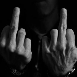 Zm, ������