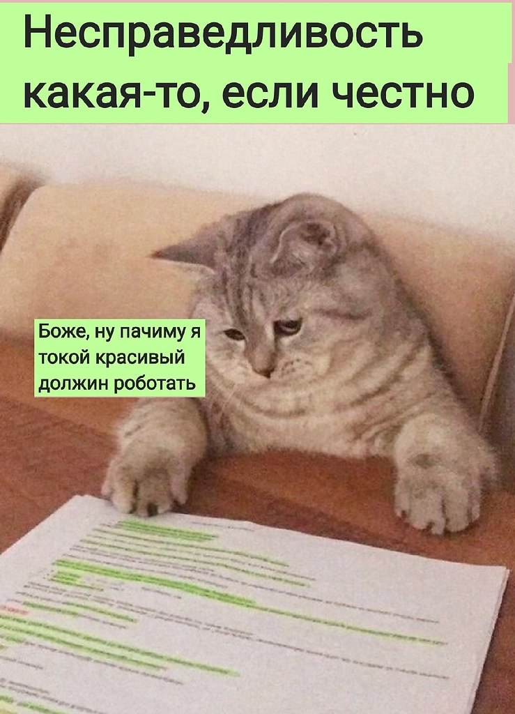   :D - 25  2022  09:01